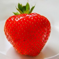 strawberry-361597__340